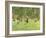 Playing Children in the Park, 1882-Max Liebermann-Framed Giclee Print