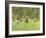 Playing Children in the Park, 1882-Max Liebermann-Framed Giclee Print