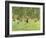 Playing Children in the Park, 1882-Max Liebermann-Framed Giclee Print