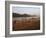 Playing Football on the Banks of the Mekong River, Luang Prabang, Laos, Indochina-Andrew Mcconnell-Framed Photographic Print