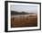 Playing Football on the Banks of the Mekong River, Luang Prabang, Laos, Indochina-Andrew Mcconnell-Framed Photographic Print