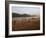 Playing Football on the Banks of the Mekong River, Luang Prabang, Laos, Indochina-Andrew Mcconnell-Framed Photographic Print