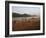 Playing Football on the Banks of the Mekong River, Luang Prabang, Laos, Indochina-Andrew Mcconnell-Framed Photographic Print