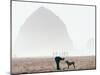 Playing Frisbee on Misty Morning, Cannon Beach, Oregon, USA-Janis Miglavs-Mounted Photographic Print