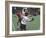 Playing Lacrosse-null-Framed Photographic Print