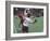 Playing Lacrosse-null-Framed Photographic Print