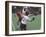 Playing Lacrosse-null-Framed Photographic Print