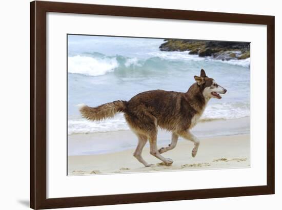 Playing on the Beach-null-Framed Photographic Print