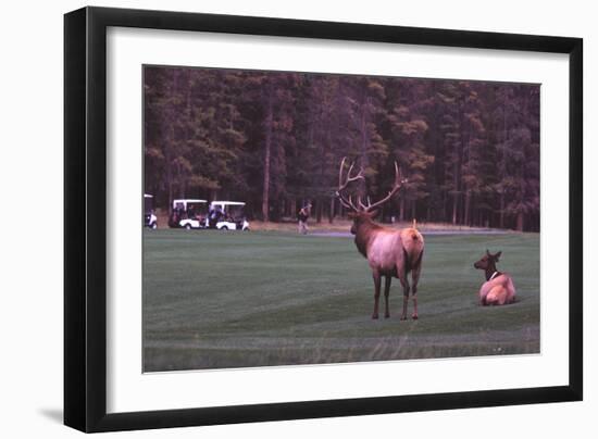 Playing Through-Ike Leahy-Framed Photographic Print