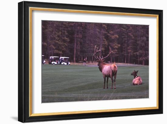 Playing Through-Ike Leahy-Framed Photographic Print