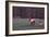 Playing Through-Ike Leahy-Framed Photographic Print