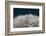 Playing with The Light-Heidi Westum-Framed Photographic Print