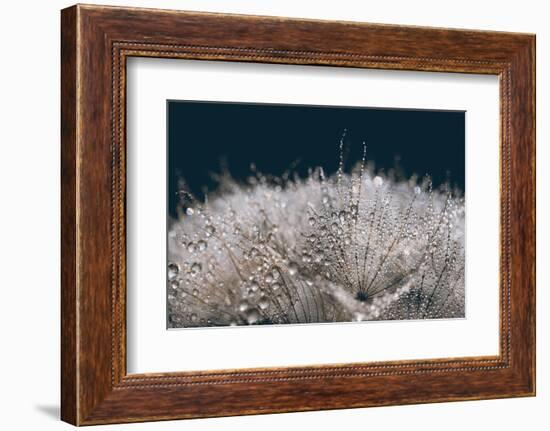 Playing with The Light-Heidi Westum-Framed Photographic Print