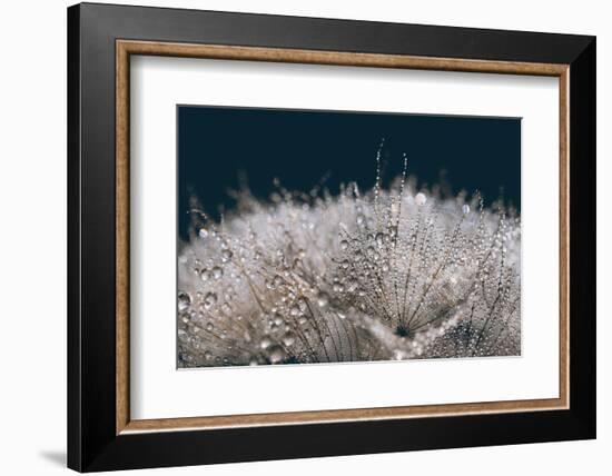 Playing with The Light-Heidi Westum-Framed Photographic Print