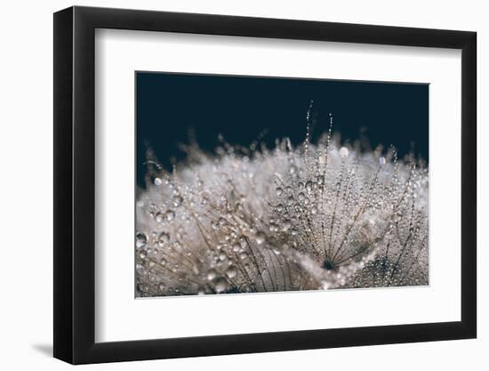 Playing with The Light-Heidi Westum-Framed Photographic Print