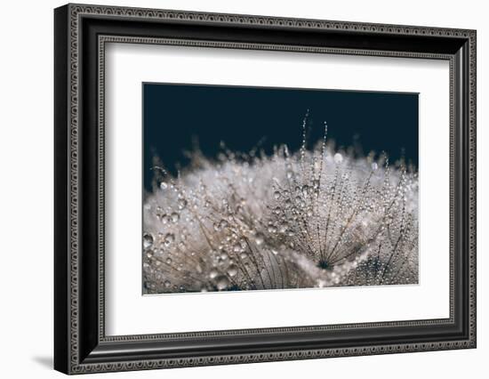 Playing with The Light-Heidi Westum-Framed Photographic Print