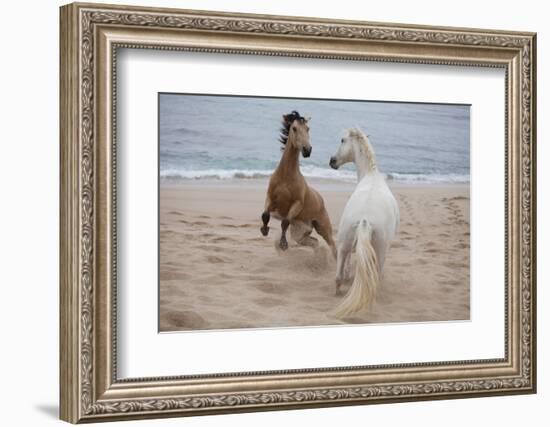 Playtime at the Beach-Susan Friedman-Framed Photographic Print