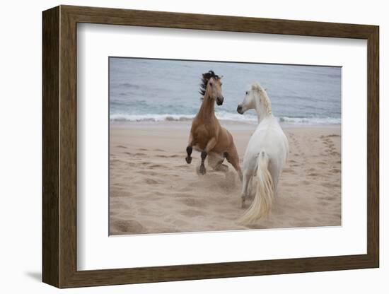 Playtime at the Beach-Susan Friedman-Framed Photographic Print