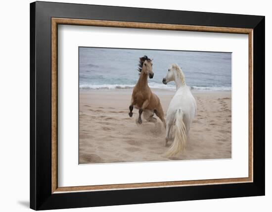 Playtime at the Beach-Susan Friedman-Framed Photographic Print