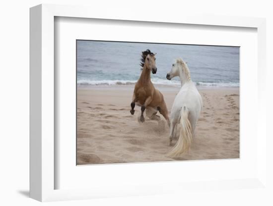 Playtime at the Beach-Susan Friedman-Framed Photographic Print