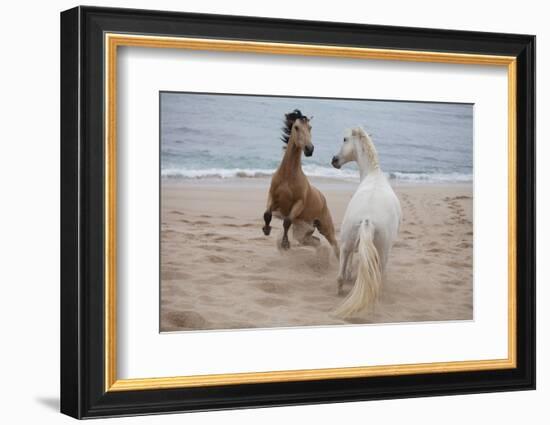 Playtime at the Beach-Susan Friedman-Framed Photographic Print