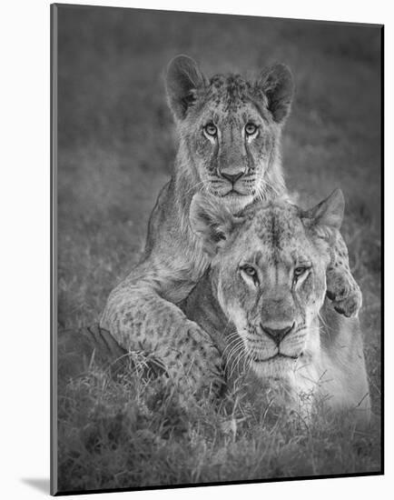 Playtime With Mama!-Ali Khataw-Mounted Giclee Print