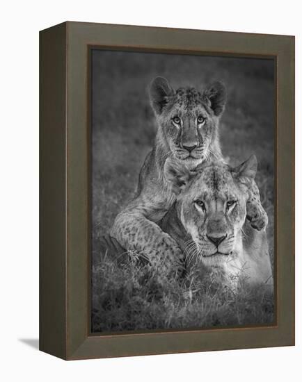 Playtime With Mama!-Ali Khataw-Framed Premier Image Canvas