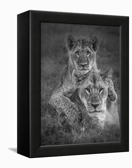 Playtime With Mama!-Ali Khataw-Framed Premier Image Canvas