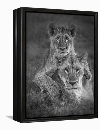 Playtime With Mama!-Ali Khataw-Framed Premier Image Canvas