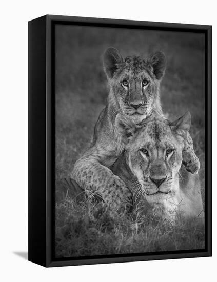 Playtime With Mama!-Ali Khataw-Framed Premier Image Canvas