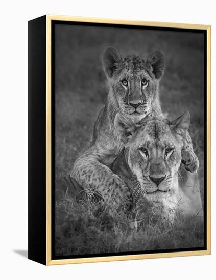 Playtime With Mama!-Ali Khataw-Framed Premier Image Canvas