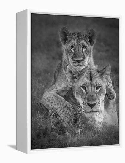 Playtime With Mama!-Ali Khataw-Framed Premier Image Canvas