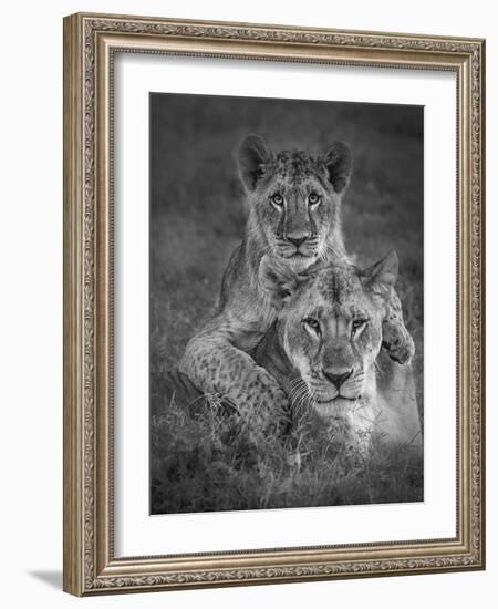 Playtime With Mama!-Ali Khataw-Framed Photographic Print