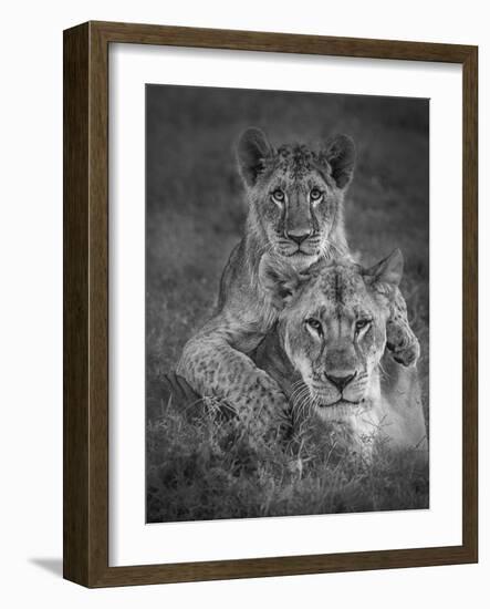 Playtime With Mama!-Ali Khataw-Framed Photographic Print