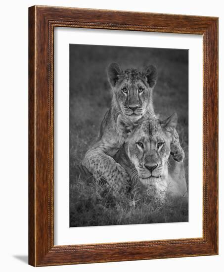 Playtime With Mama!-Ali Khataw-Framed Photographic Print