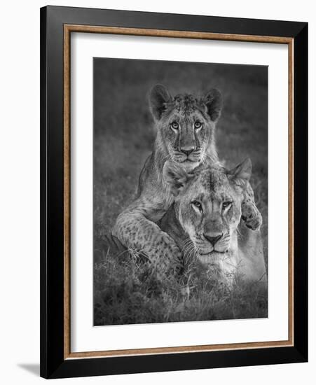 Playtime With Mama!-Ali Khataw-Framed Photographic Print