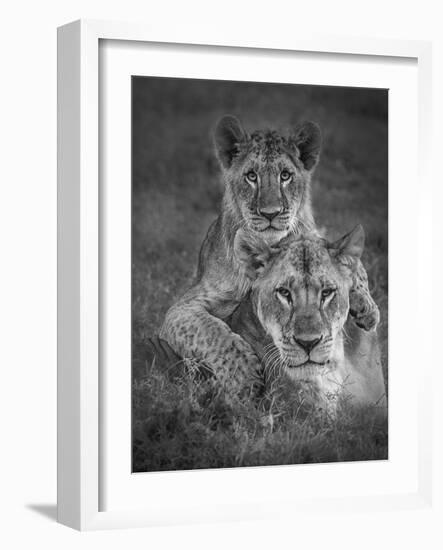 Playtime With Mama!-Ali Khataw-Framed Photographic Print