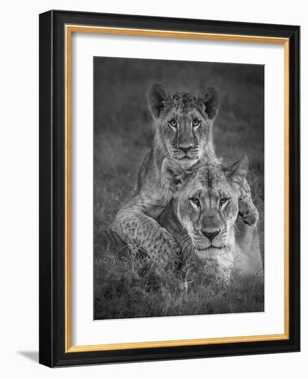 Playtime With Mama!-Ali Khataw-Framed Photographic Print