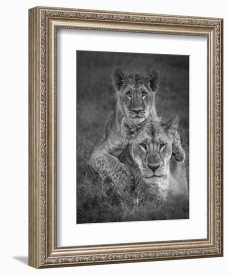 Playtime With Mama!-Ali Khataw-Framed Photographic Print