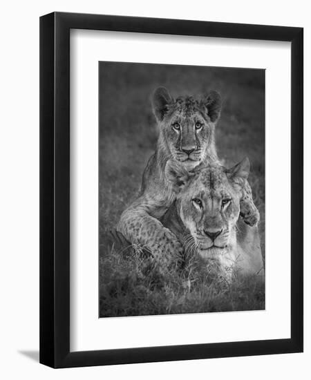 Playtime With Mama!-Ali Khataw-Framed Photographic Print