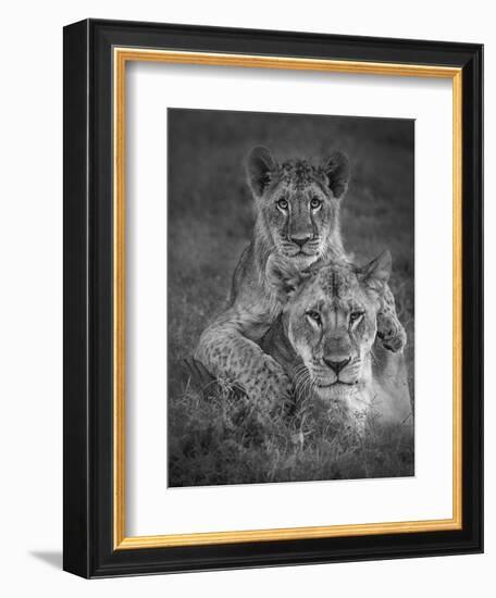 Playtime With Mama!-Ali Khataw-Framed Photographic Print