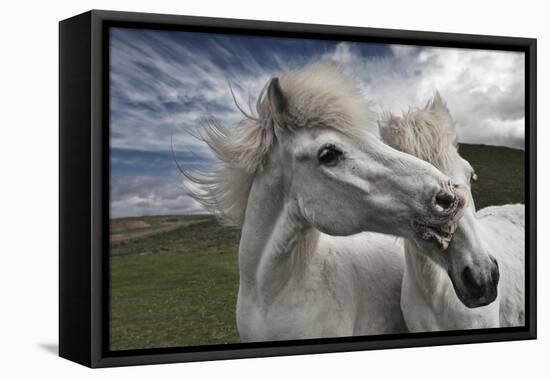 Playtime-Bragi Ingibergsson --Framed Premier Image Canvas