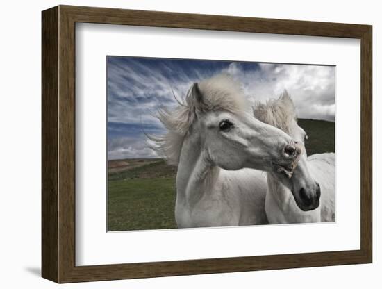 Playtime-Bragi Ingibergsson --Framed Photographic Print