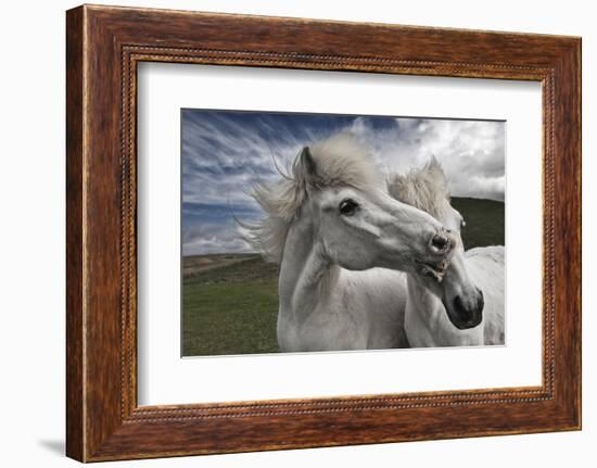 Playtime-Bragi Ingibergsson --Framed Photographic Print