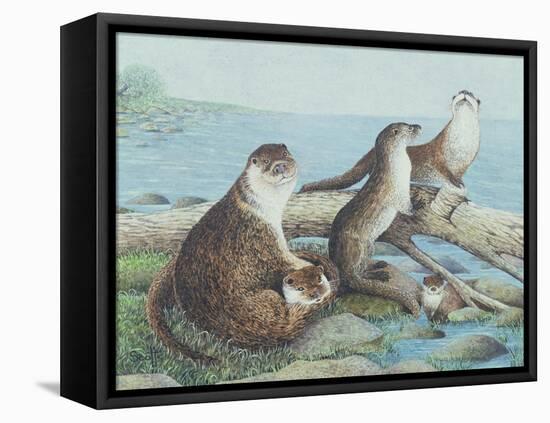 Playtime-Pat Scott-Framed Premier Image Canvas