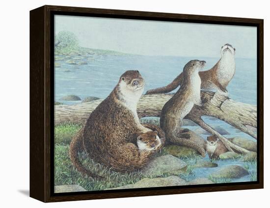 Playtime-Pat Scott-Framed Premier Image Canvas