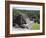 Plaza B Temple, Mayan Ruins, Caracol, Belize, Central America-Jane Sweeney-Framed Photographic Print