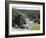 Plaza B Temple, Mayan Ruins, Caracol, Belize, Central America-Jane Sweeney-Framed Photographic Print