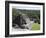 Plaza B Temple, Mayan Ruins, Caracol, Belize, Central America-Jane Sweeney-Framed Photographic Print