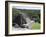 Plaza B Temple, Mayan Ruins, Caracol, Belize, Central America-Jane Sweeney-Framed Photographic Print